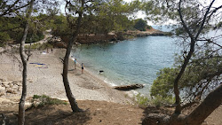 Photo de Platja Port Olivet situé dans une zone naturelle