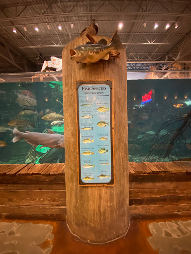 Sporting Goods Store «Bass Pro Shops», reviews and photos, 7000 Arundel Mills Cir, Hanover, MD 21076, USA