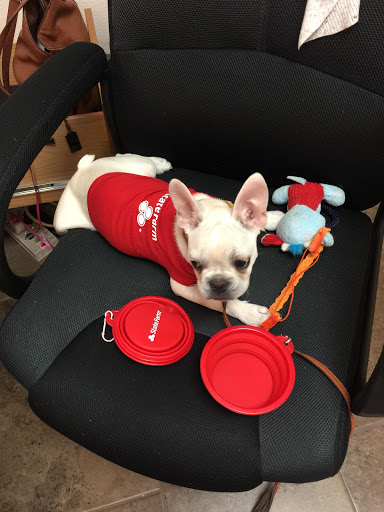 Insurance Agency «Crystal Martinez - State Farm Insurance Agent», reviews and photos