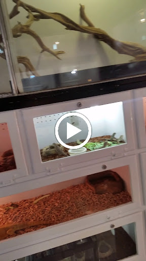 Reptile Store «Pet Palace», reviews and photos, 1442 N Hollenbeck Ave, Covina, CA 91722, USA