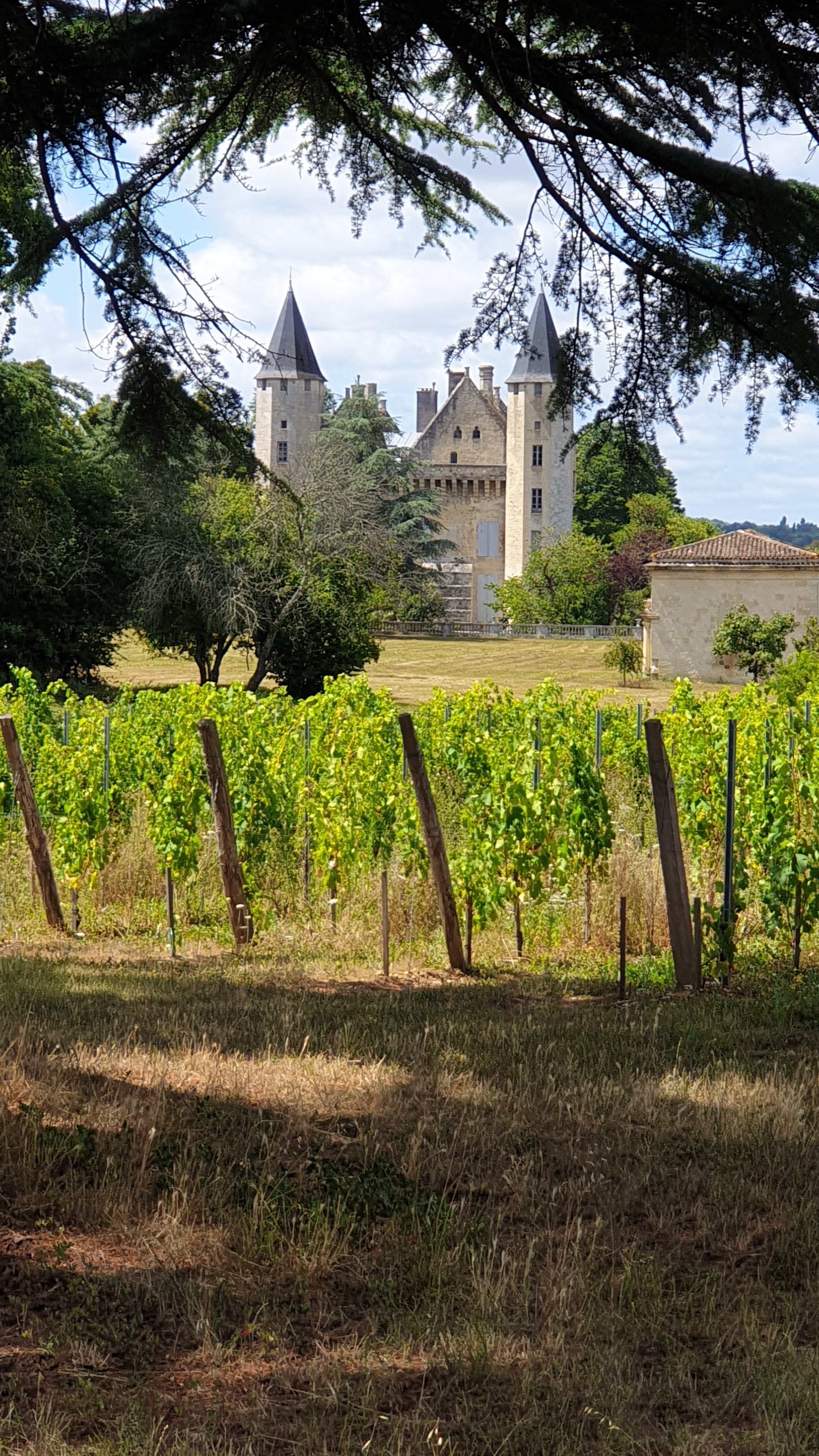 Photo n° 1 de l'avis de Géraldine. fait le 01/08/2023 à 17:07