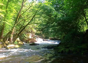 Photo n°15 de Raft'Morvan à Saint-Martin-du-Puy ()