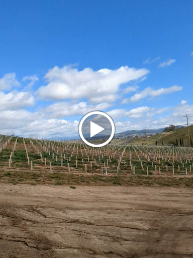 Mount Palomar Winery image