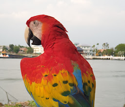 Bhumirak Chaloem Phra Kiat Park photo