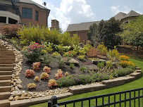 Landscaping Nature's Way