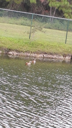 Nature Preserve «Woodmont Natural Area», reviews and photos, 7250 NW 80th Pl, Pompano Beach, FL 33321, USA