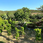 Photo n°1 de l'avis de Bartek.o fait le 28/07/2020 à 17:33 sur le  Locanda Murales à Olbia
