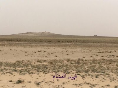 Photos of Al-Qurain Nature Reserve