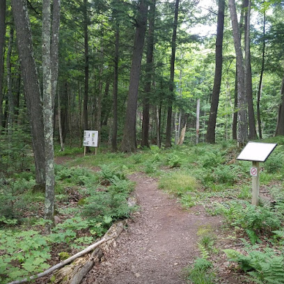 Hemlock hiking trail and walking trail