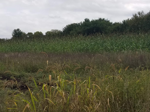 History Museum «OIiver Kelley Farm», reviews and photos, 15788 Kelly Farm Rd NW, Elk River, MN 55330, USA