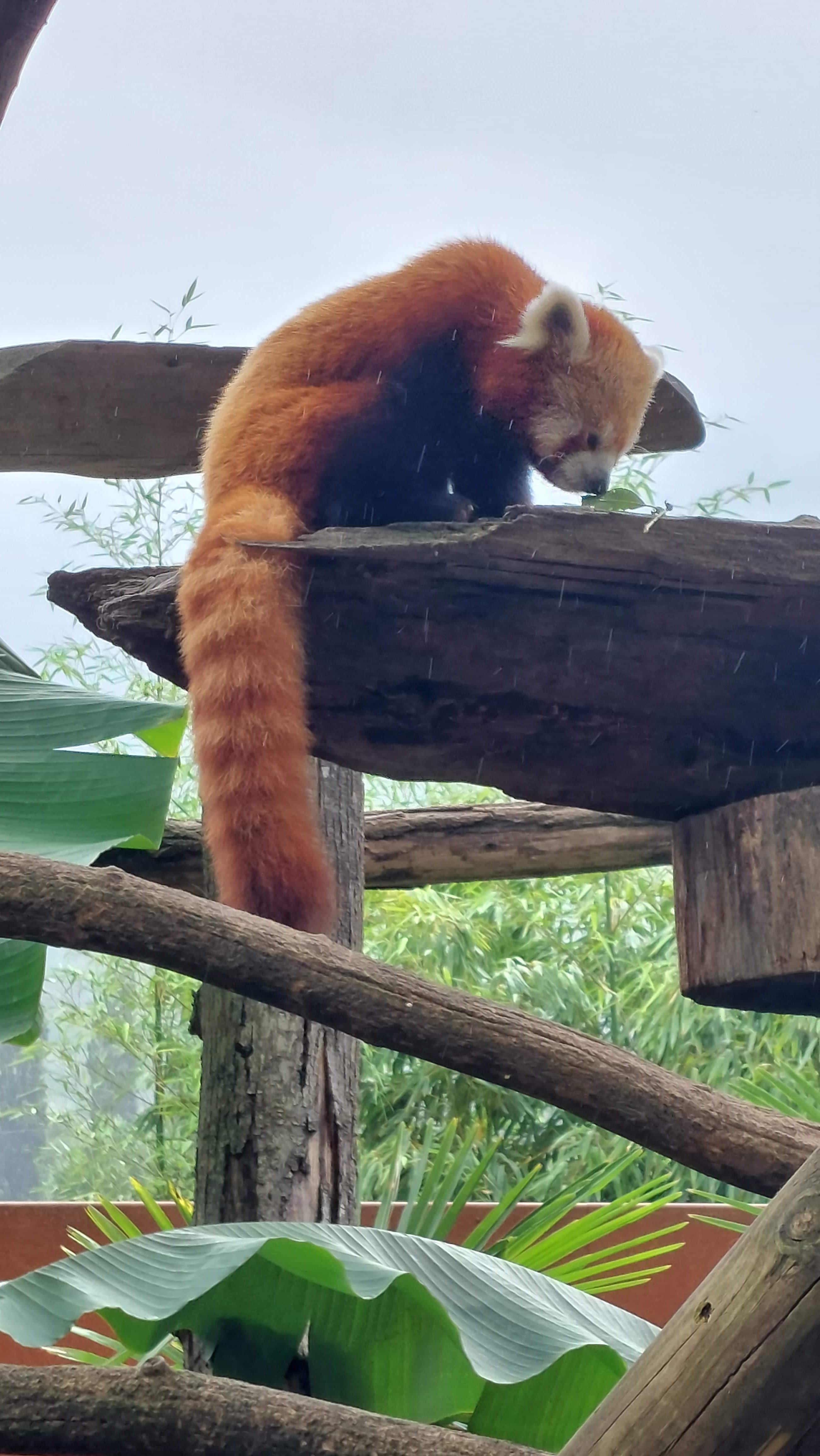 Photo n° 1 de l'avis de Jean-Michel. fait le 07/08/2023 à 20:42