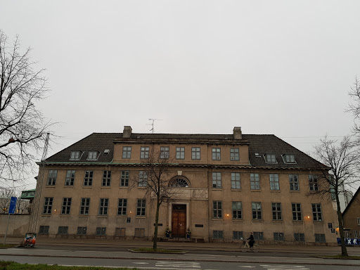 Institut for Idræt og Ernæring