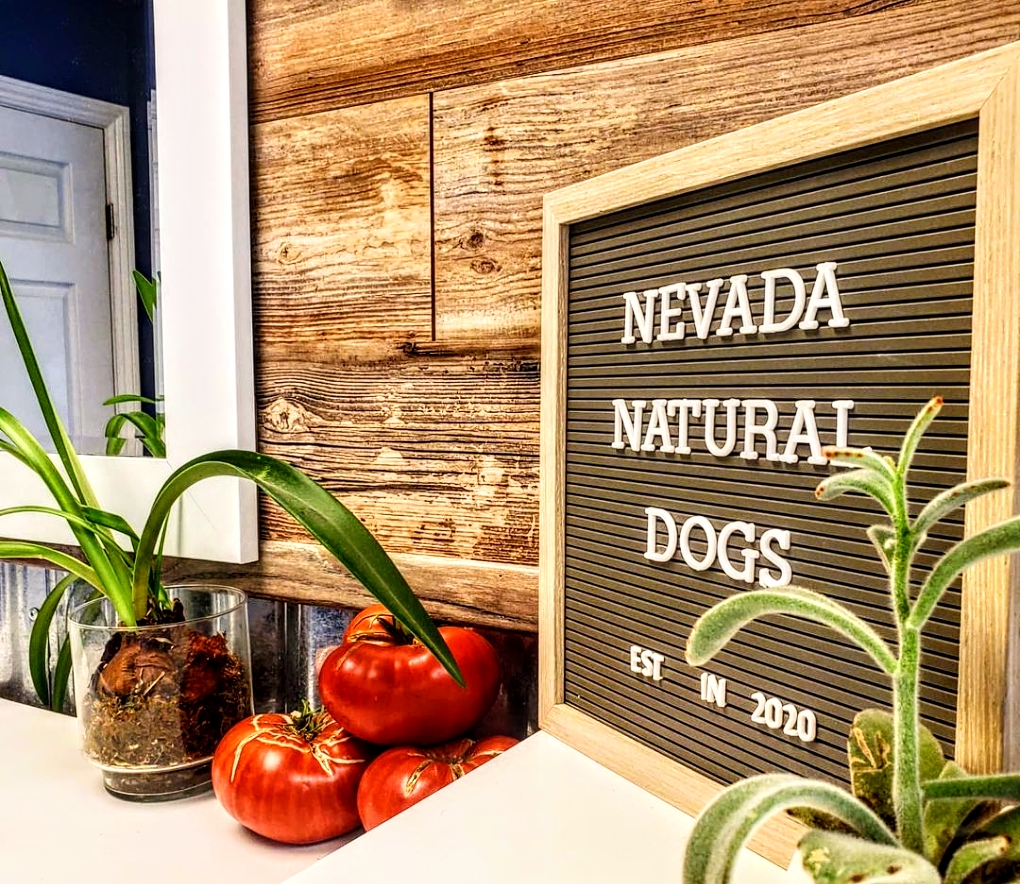 Nevada Natural Dogs