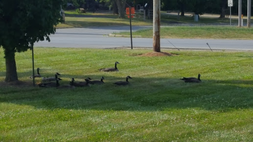 Mallory Moving & Storage Inc