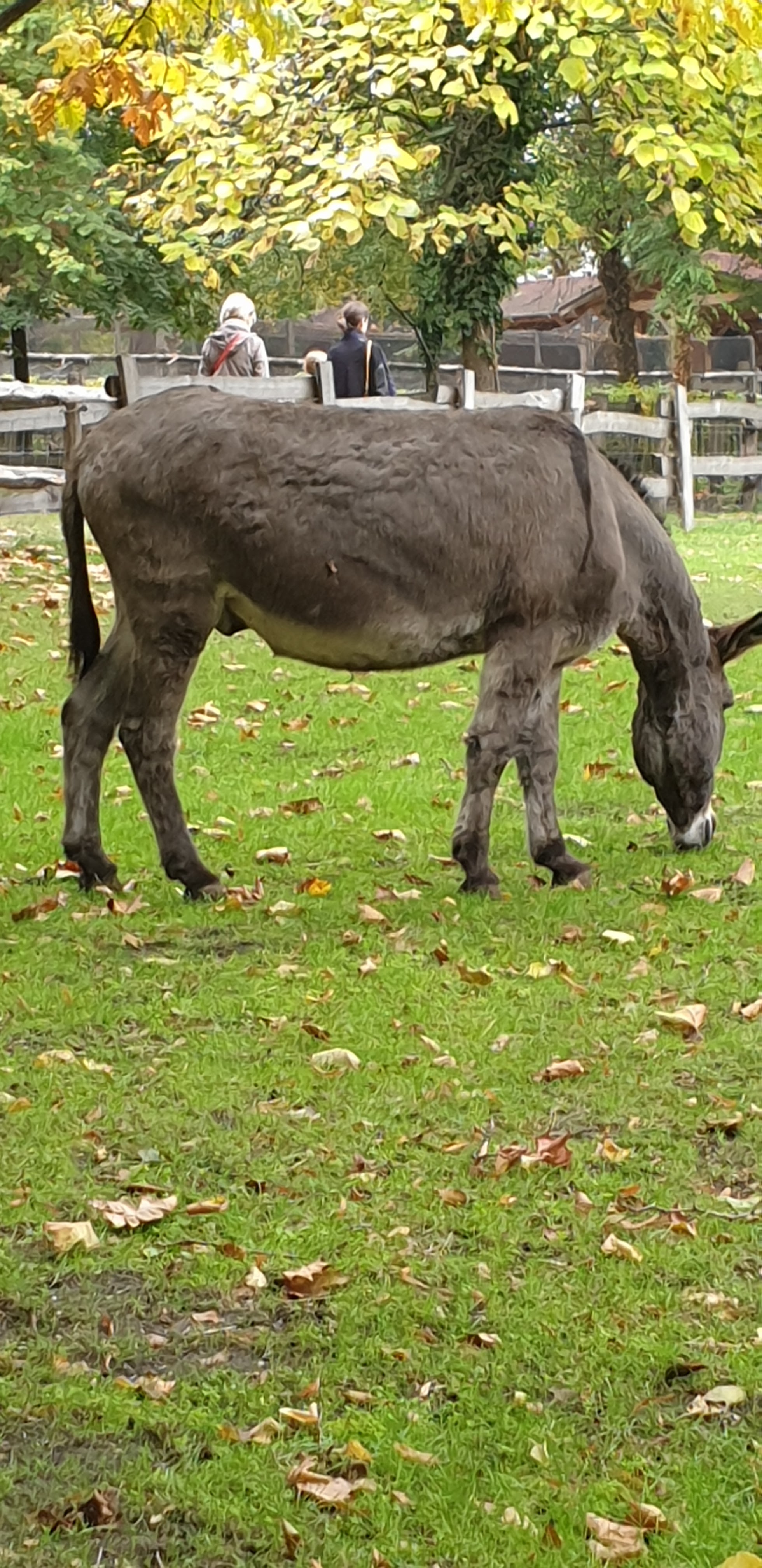 Photo n° 28 de l'avis de Julien.' fait le 23/10/2019 à 14:35