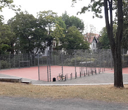 Thomas Park photo