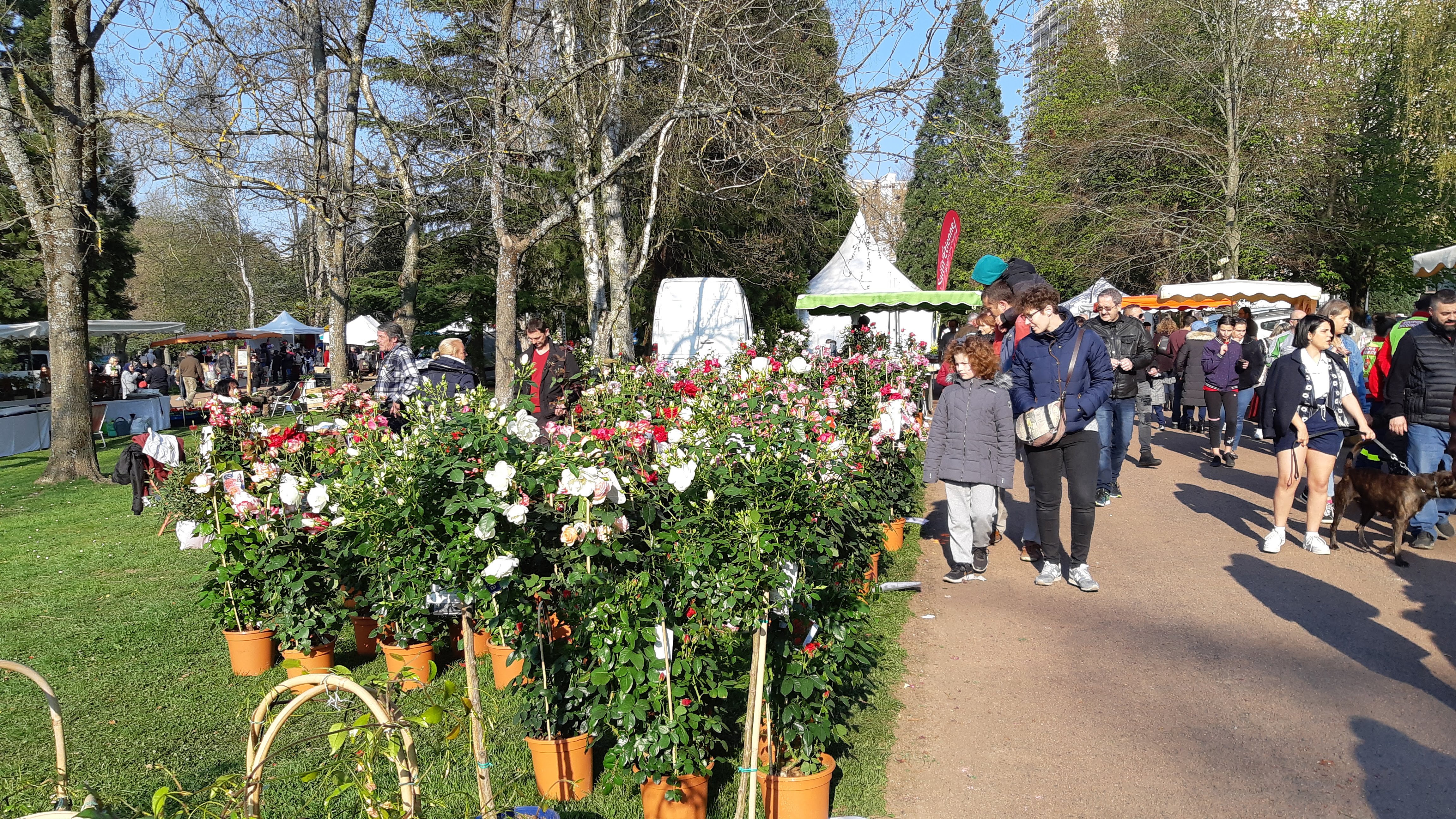Photo n° 1 de l'avis de anne.a fait le 13/04/2019 à 16:46