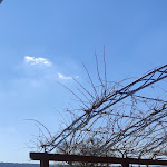 Photo n°1 de l'avis de Alessia.c fait le 13/03/2022 à 16:12 sur le  Masseria Torricella à Alberobello