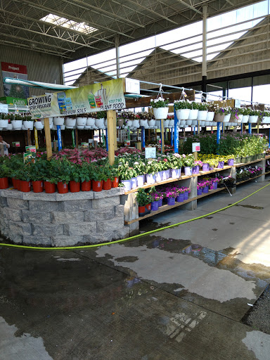 Home Improvement Store «Menards», reviews and photos, 1100 Avenue of Mid-America, Effingham, IL 62401, USA