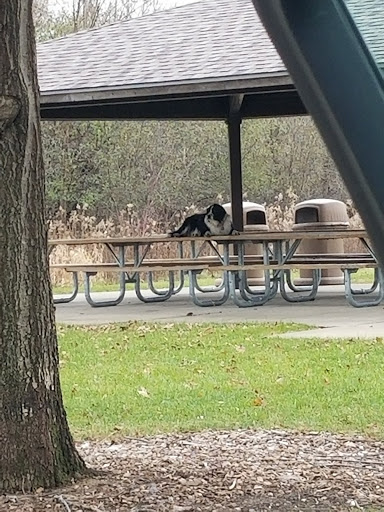 Nature Preserve «Rock Run Preserve - Paul V. Nichols Access», reviews and photos, Essington Rd, Joliet, IL 60435, USA