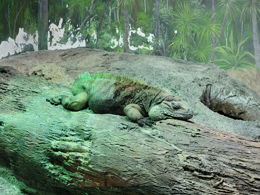 Zoo «Milwaukee County Zoo», reviews and photos, 10001 W Bluemound Rd, Milwaukee, WI 53226, USA