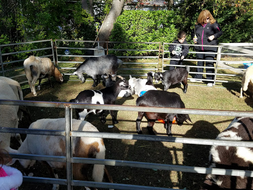 Museum «Rock Hall Museum», reviews and photos, 199 Broadway, Lawrence, NY 11559, USA