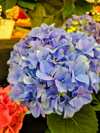 Grocery Store «Lunds & Byerlys Bloomington», reviews and photos, 5159 W 98th St, Bloomington, MN 55437, USA