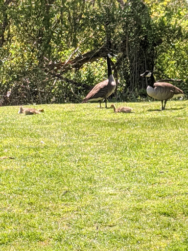 Park «Cantiague Park», reviews and photos, 480 W John St, Hicksville, NY 11801, USA