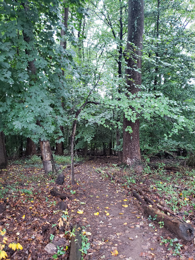 Nature Preserve «Woodend Sanctuary», reviews and photos, 8940 Jones Mill Rd, Chevy Chase, MD 20815, USA