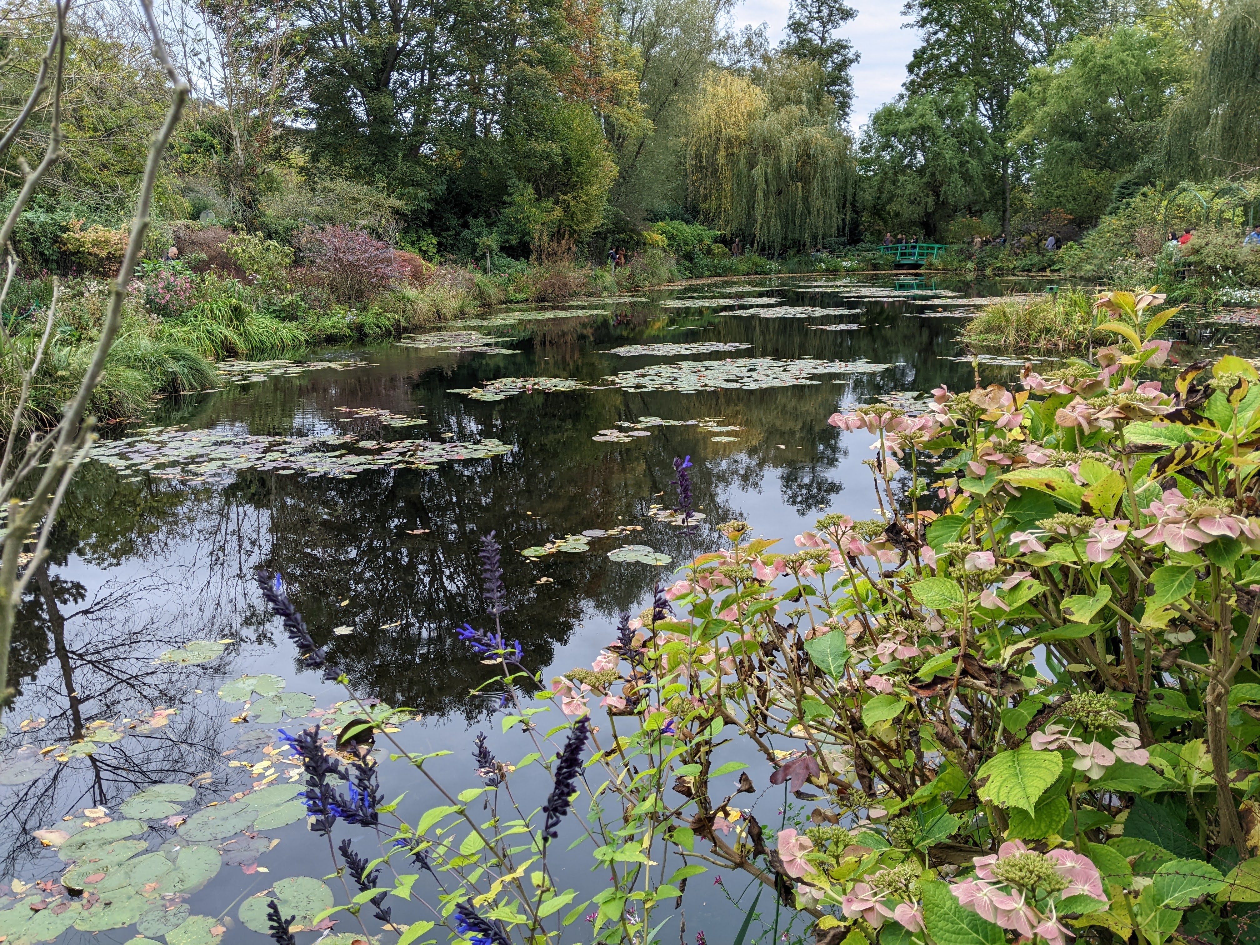 Photo n° 5 de l'avis de konrad.a fait le 08/11/2022 à 15:06