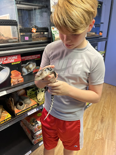 Pet Store «A Family Pet Center», reviews and photos, 6230 N Lockwood Ridge Rd, Sarasota, FL 34243, USA