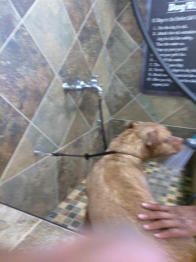 Pet Supply Store «Pet Valu», reviews and photos, 16675 Chagrin Blvd, Shaker Heights, OH 44120, USA