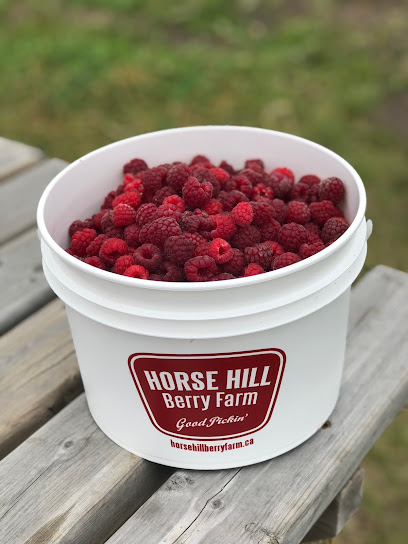Horse Hill Berry Farm