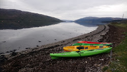 Loch Sunart Beach'in fotoğrafı vahşi alan