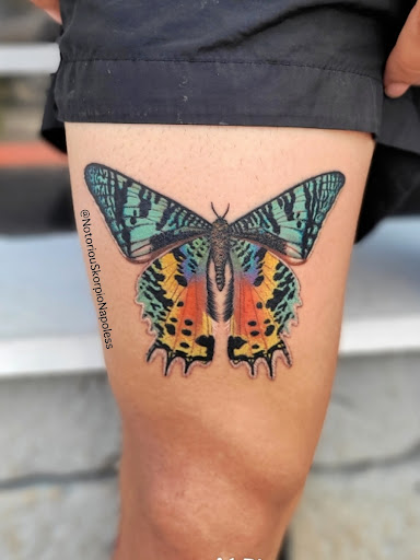 Explore cute cover up tattoo ideas, creative tattoo ideas in Winter Haven, available at Angry Elephant Tattoos Winter Haven