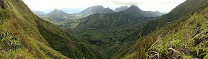Schofield Waikane Trail - photo 80