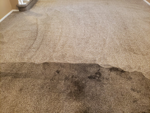 Carpet cleaning service Glendale
