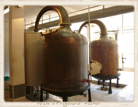 Photo n° 2 de l'avis de L'amore. fait le 19/03/2020 à 09:59