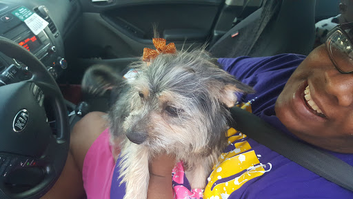 Pet Supply Store «PetSmart», reviews and photos, 8660 Airline Hwy, Baton Rouge, LA 70815, USA