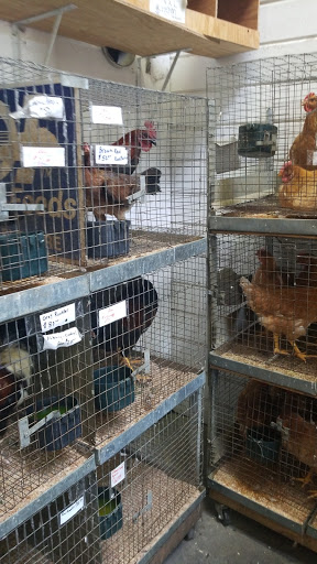 Animal Feed Store «Farmers Feed & Pet Supply», reviews and photos, 1302 E Miner Ave, Stockton, CA 95205, USA