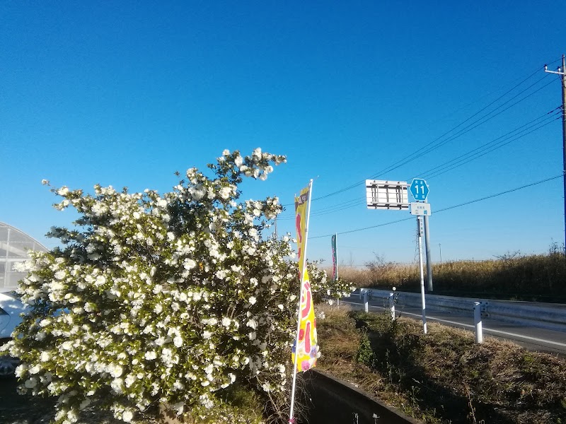 利根町立利根中学校