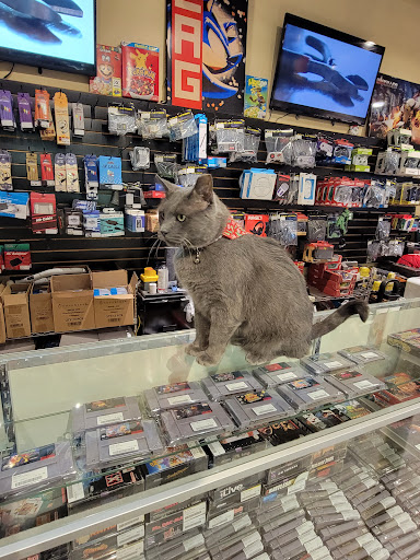 Video Game Store «Live Action Games», reviews and photos, 41 E University Ave, Champaign, IL 61820, USA