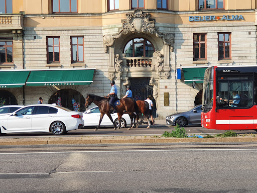 Dining chairs in Stockholm