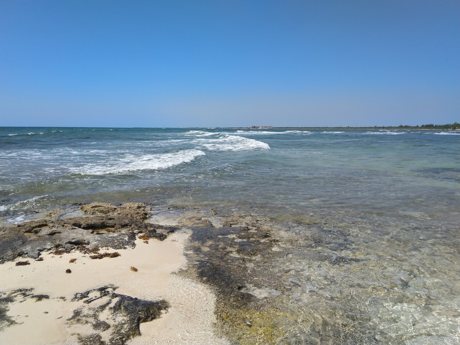 Φωτογραφία του Playa Punta Brava άγρια περιοχή