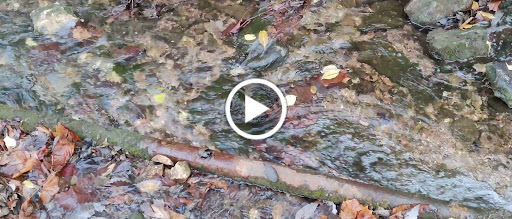 Gym «Doling Family Center», reviews and photos, 301 E Talmage St, Springfield, MO 65803, USA