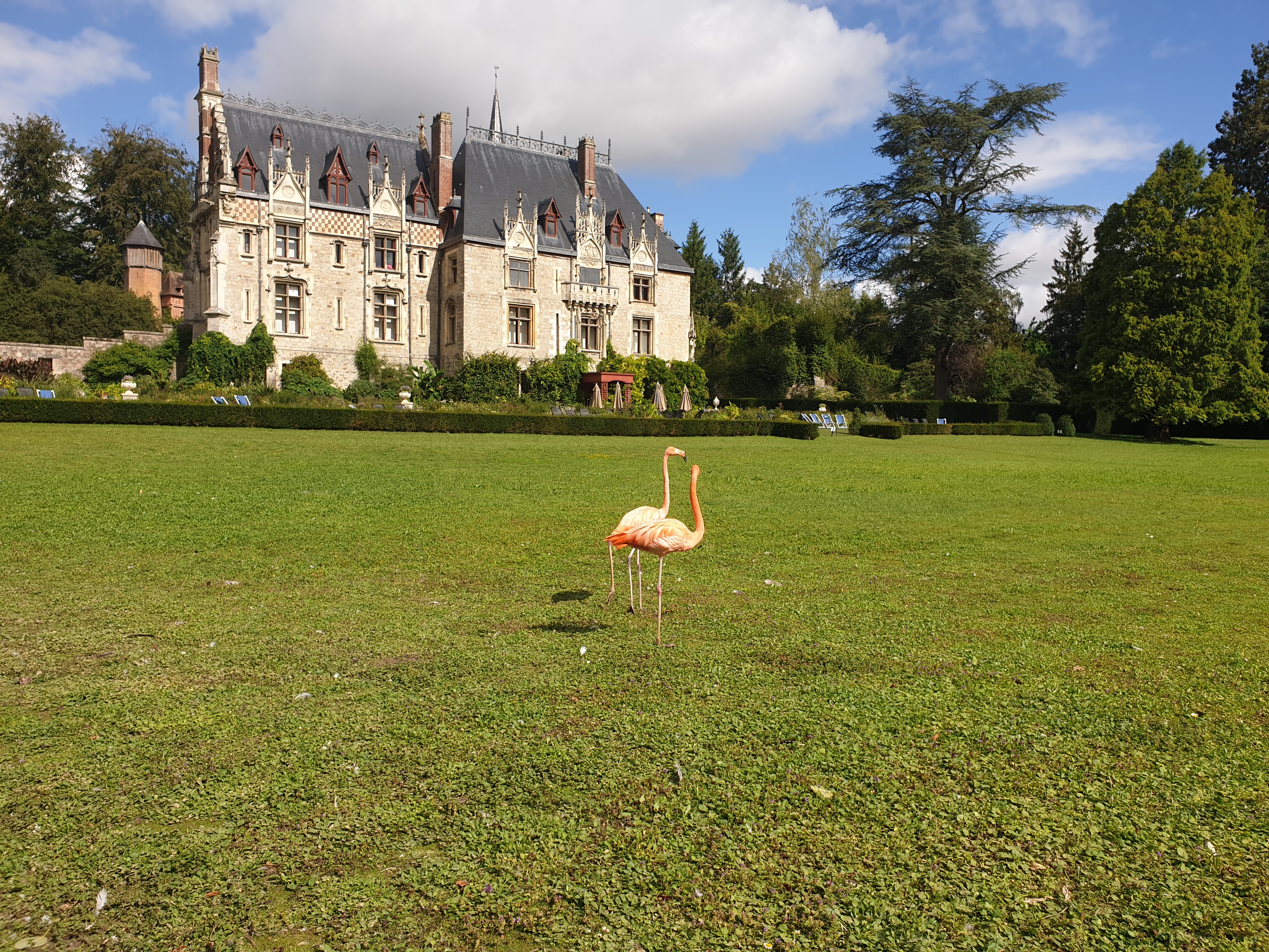 Photo n° 2 de l'avis de Jeremie.u fait le 23/08/2020 à 18:19