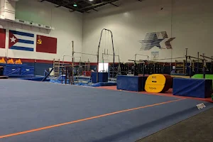 New Hope Academy of Gymnastics image