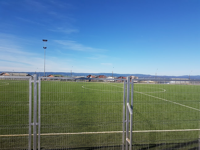 Opiniones de Cancha de la vega en Talcahuano - Campo de fútbol
