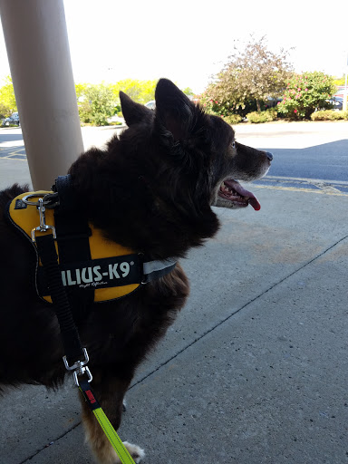 Pet Supply Store «PetSmart», reviews and photos, 5241 Frederica St, Owensboro, KY 42301, USA