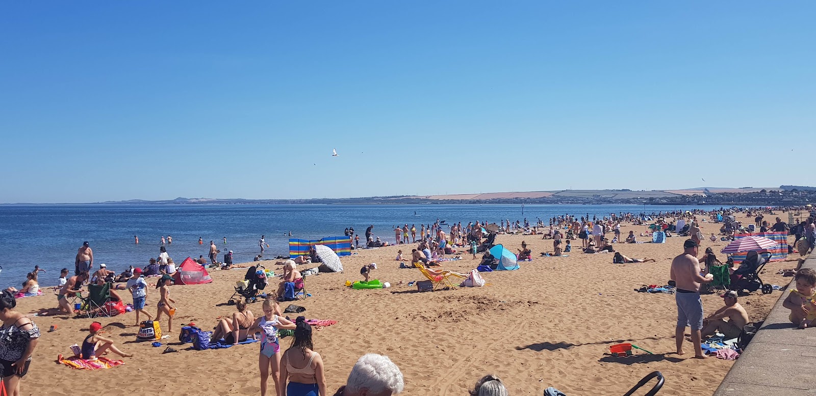 Foto de Portobello beach - buen lugar amigable para mascotas para vacacionar